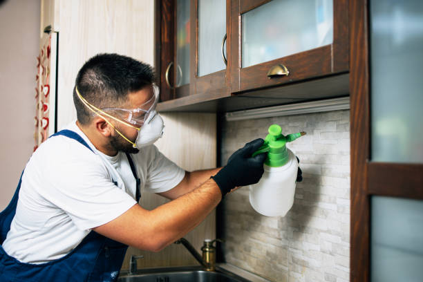 Best Pest Removal Services  in Dike, IA