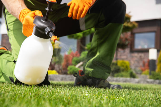 Best Local Pest Control Services  in Dike, IA