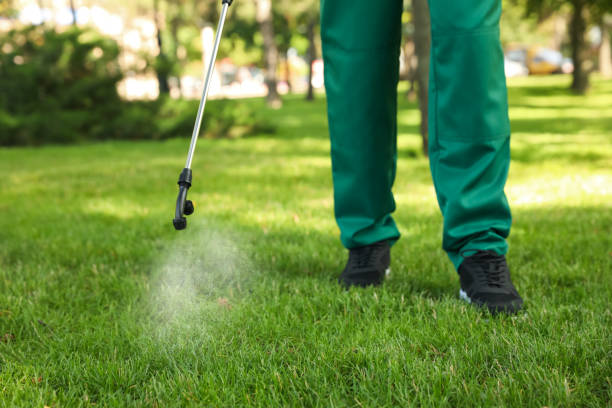 Best Best Pest Control Companies  in Dike, IA
