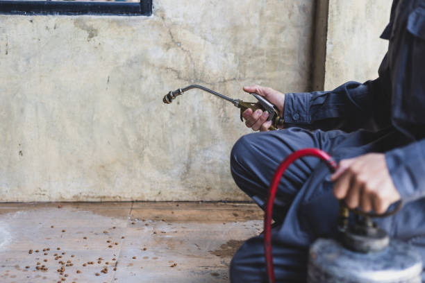 Best Residential Pest Control  in Dike, IA