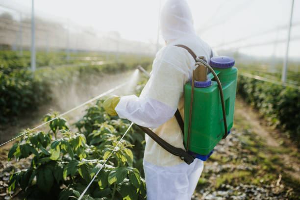 Best Bed Bug Extermination  in Dike, IA